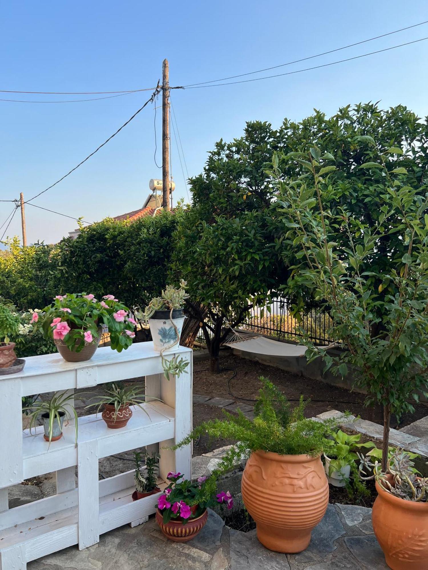 Aiolos Seaside Apartment Marathos  ภายนอก รูปภาพ